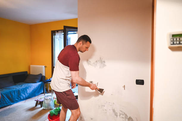 Best Residential Mold Remediation in Grand Haven, MI